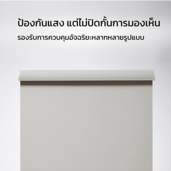 ม่านม้วนดิมเอ๊าท์ รุ่น RB-03D ป้องกันแสงแต่ยังมองเห็นวิวได้